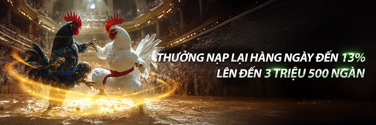 Đá gà trực tuyến kịch tính tại vnd188 trang chủ chính thức